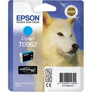 T0962 Cyan till Stylus Photo R2880 