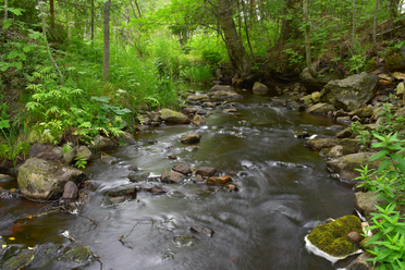 tamron_34mm_f14_34.JPG