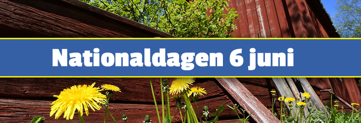 NATIONALDAGEN.png