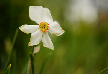 TAMRON2875TEST.png