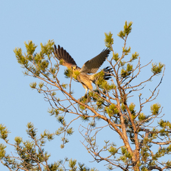 DSCF8347.jpg
