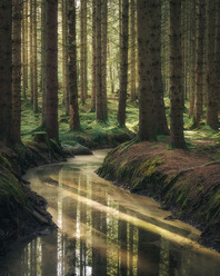 Nature.by.Johan-390-2_blogg.jpg