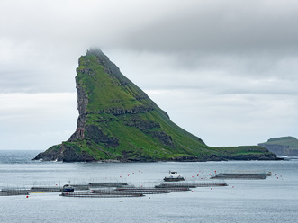 DSCF9391-2k.jpg