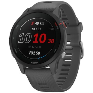 Forerunner 255 Skiffergrå