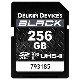 Black Rugged SDXC 256GB UHS-II U3 V90 300MB/s
