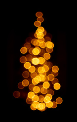 DSCF3074-3.jpg