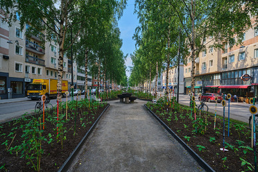 ViltroxAF13Test_blogg2.jpg