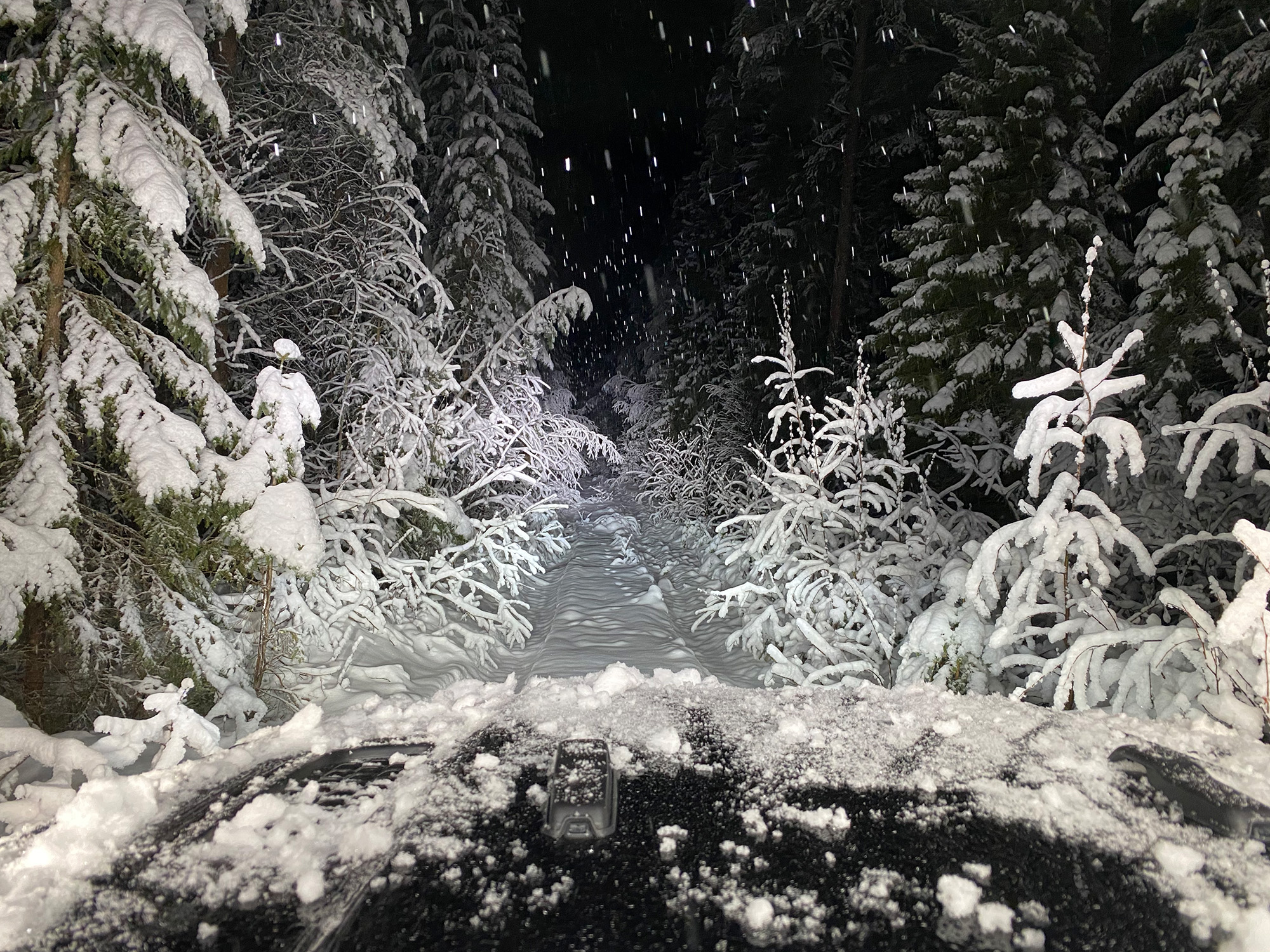 Utfrätt