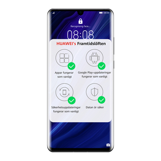 P30Pro 256GB Svart