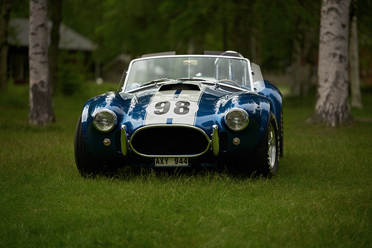 cobra_0.jpg
