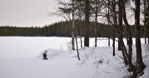 vi-skvallrar_0.jpg