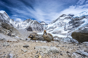 everest_0.jpg