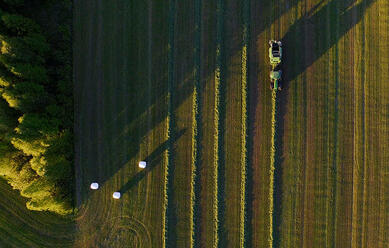 ny-film-dji-film-del-3_0.jpg
