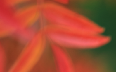 canon-ef-85-1-4l-is-usm_0.png
