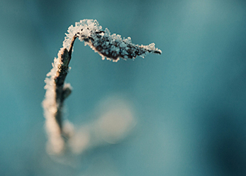 turkos-vinter_0.jpg