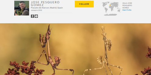 inspiration-natur-och-makro_0.png