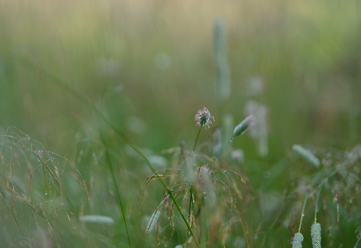 fujifilm-gf-110-2-0-r-lm-wr_0.png