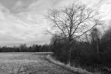 fujifilm-fujinon-xf-16-1-4-r-wr_0.jpg