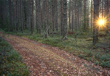 solen-gar-upp-_0.jpg