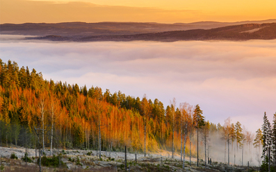 linjer-fluff_0.jpg