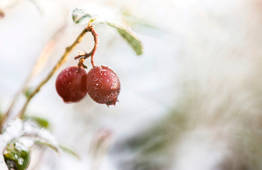 rod-vinter_0.jpg