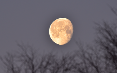 MOONS.png