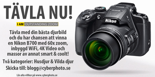 tavling-djurbilder_0_2.jpg