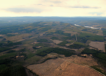 flygfoto-vinterns-aterkomst_0.jpg
