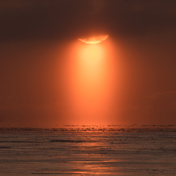 L1010192-2.jpg