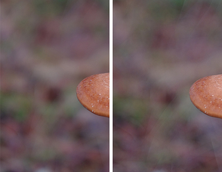 fujifilm-xf-56mm-apd_0.jpg