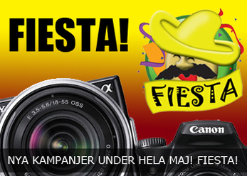 fiesta-_0.jpg