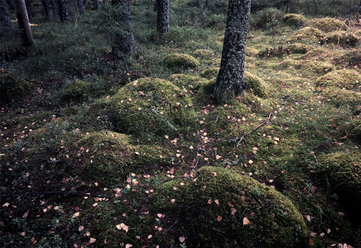 samsung-16mm-f2-4-nx_0.jpg