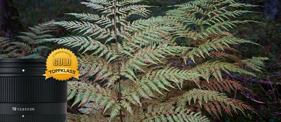 sigma-ex-19-f2-8-nex-_0.jpg