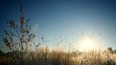 sony-e-16mm-f2-8-nex_0.jpg