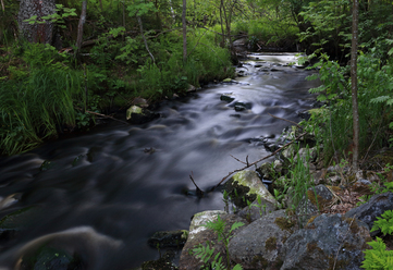 canon-eos-5ds-r_0.jpg