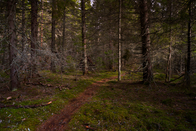 Samyang 24mm f1.8_1w.jpg