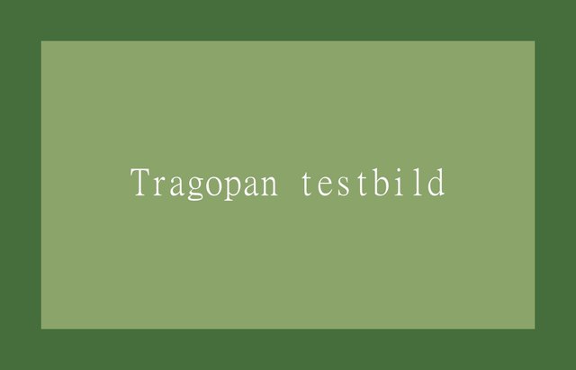 tragopan-testbild-1w.jpg