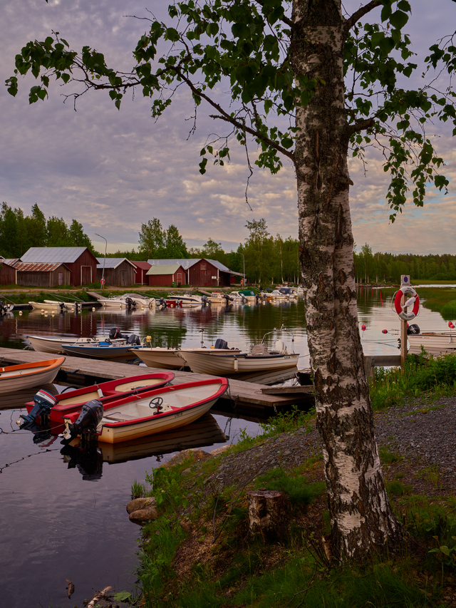 Olympus 8-25mm f4_9w.jpg