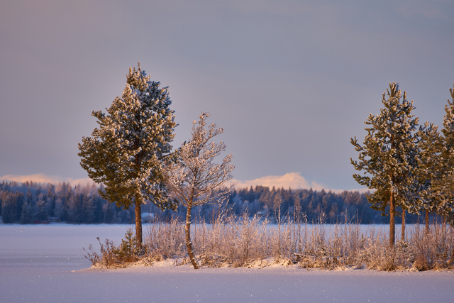 Sony E 70-350G OSS_26w.jpg