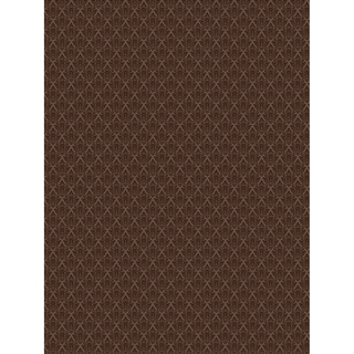 X-Drop 5507, bakgrundstyg 1,5 x 2,1m - Modern Vintage Terracotta