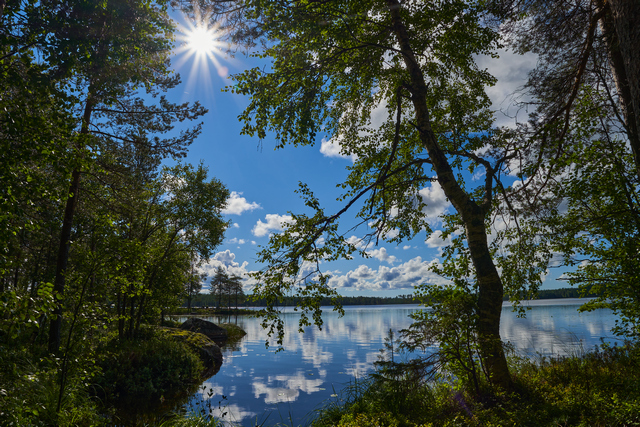 Sony 15mm f1.4_18w.jpg