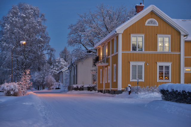 Laowa 85mm macro_3w.jpg