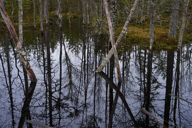 Sony FE 24-70 f2.8 GM II_8w.jpg