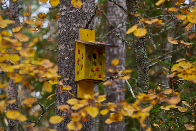 Tamron 50-400mm_8w.jpg