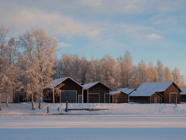 Olympus OM-1_20w.jpg