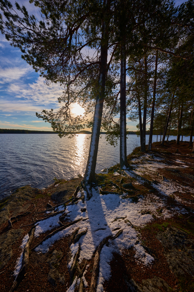 Sony 12-24 f2.8_14w.jpg