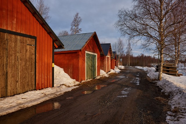 Canon RF 24-50mm_1w.jpg