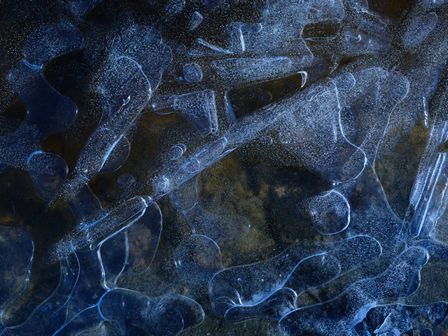 Fujifilm GF 80 f1,7_12w.jpg