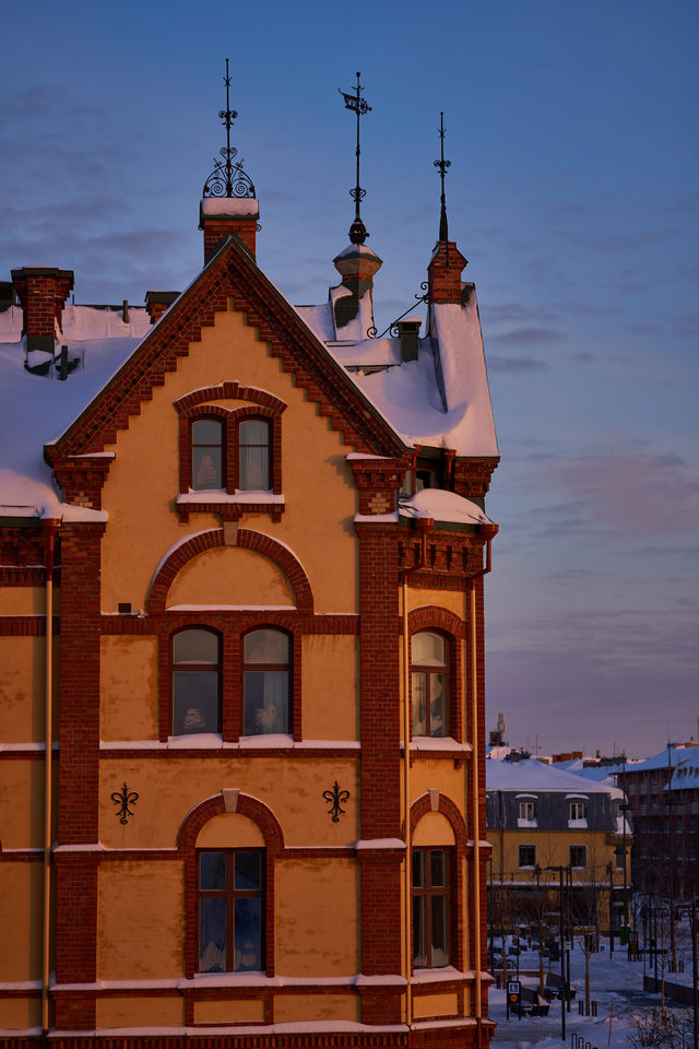 Sigma 105mm macro Sony_14w.jpg