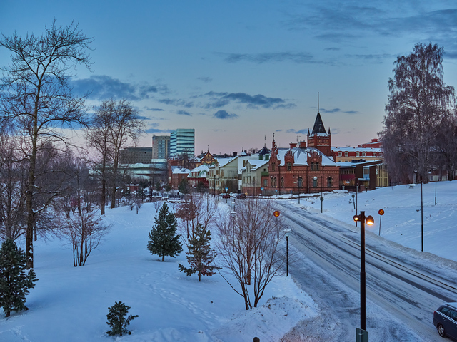 OM System 20mm f1.4_12w.jpg